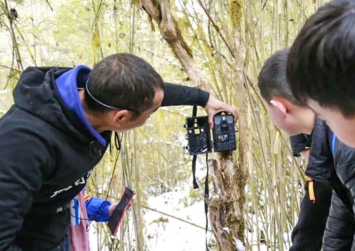 Giant Panda National Park, Wild Panda Habitat