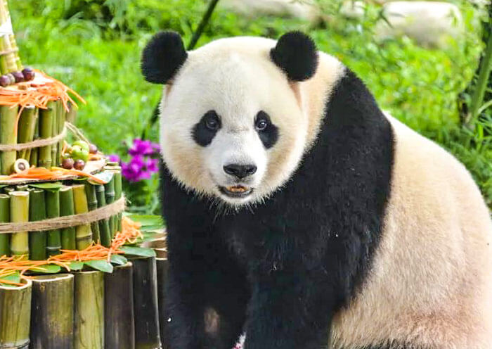 China Nature Tours | Top 10 China Natural Wonders Trips