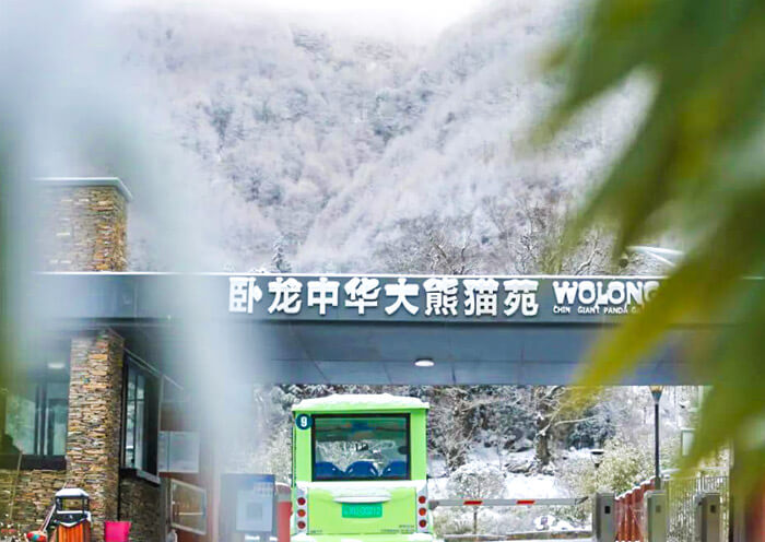 Wolong Panda Base