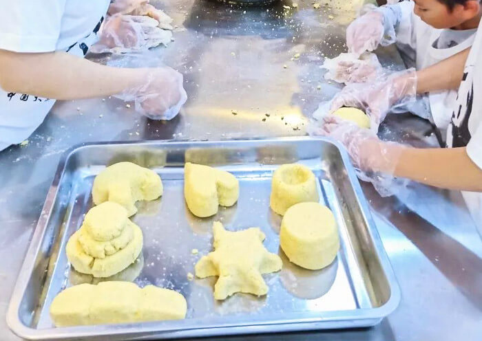 2 Day Wolong Panda Volunteer Tour - From Chengdu City to Wild Panda Habitat