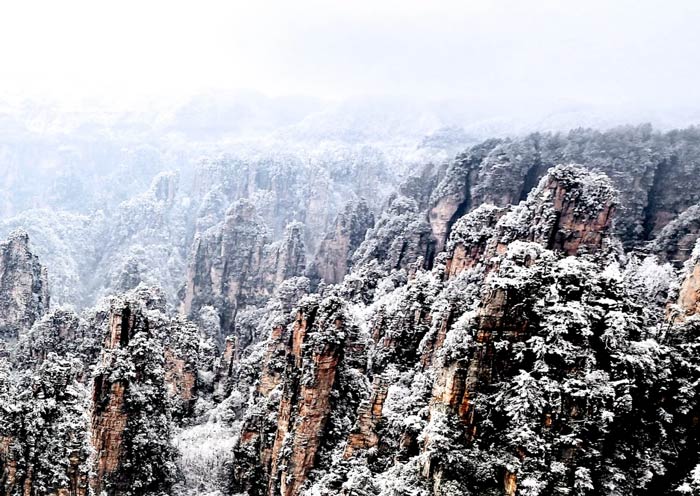 Wulingyuan's Icy Pillar Forests