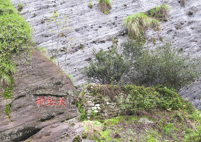 Wuyishan tour