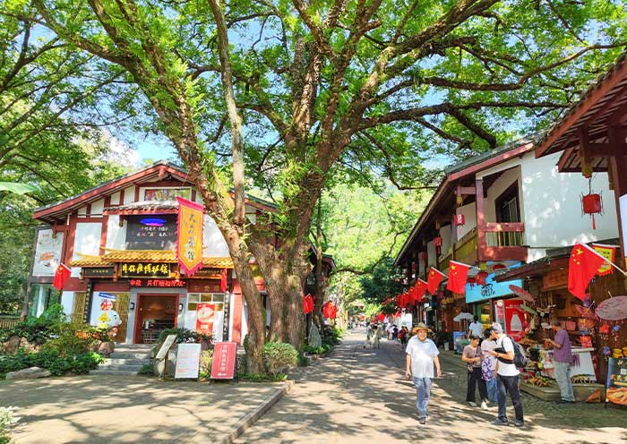 Wuyishan tour