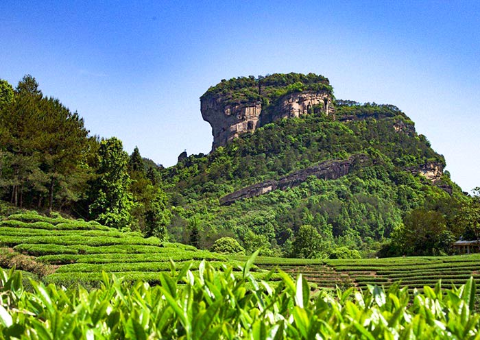 Wuyishan tour