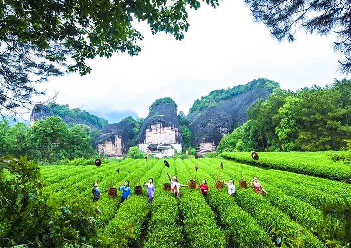 Wuyishan Mountain in Fujian