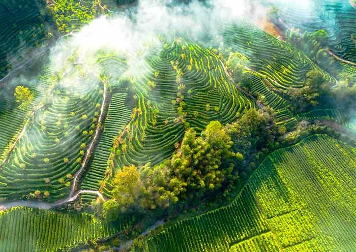 4 Days Xiamen Wuyishan Tour