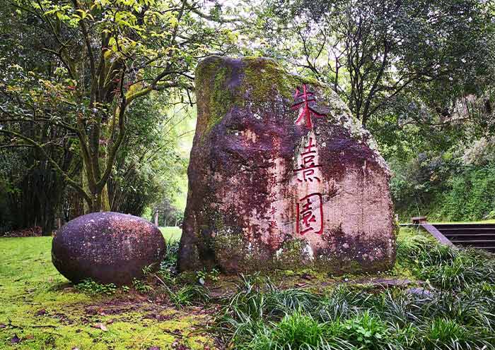 Wuyishan tour