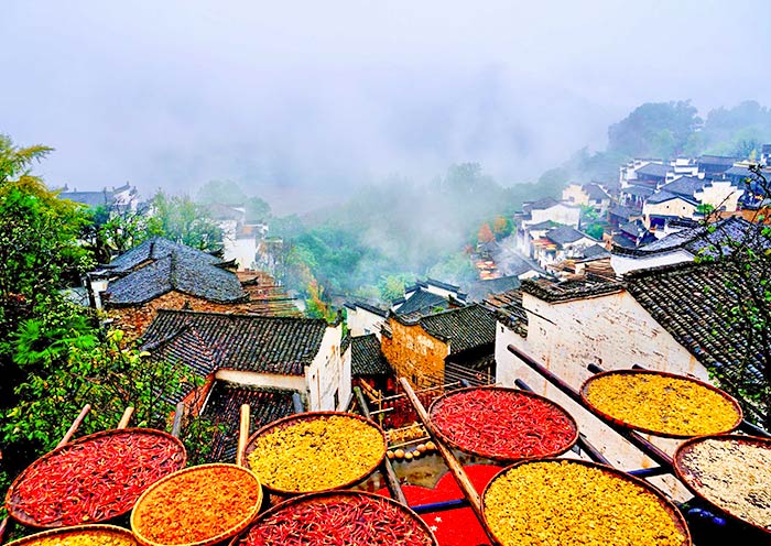 China Autumn Tour to Huangling Village in Wuyuan