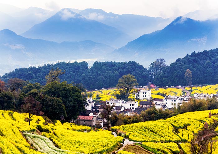 Wuyuan in Spring