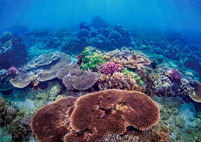 Wuzhizhou Island, Sanya