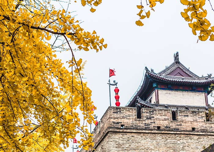Xian City Wall in Autumn