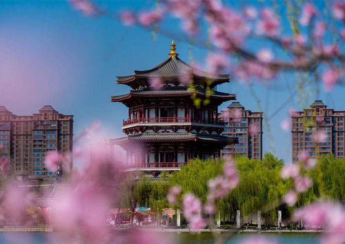 Xian in Spring