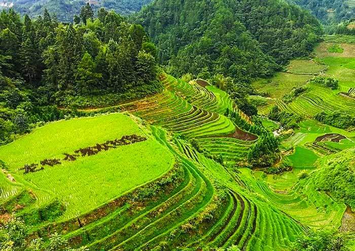 Xiaozhai Rice Terraces