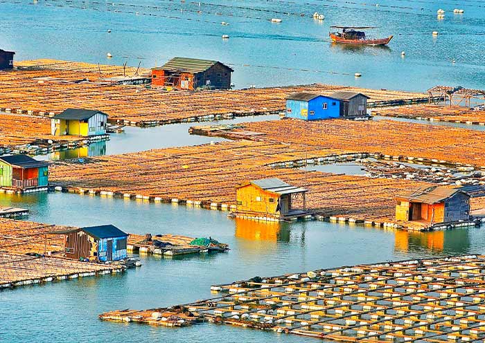 Dong'an Fishing Village, 