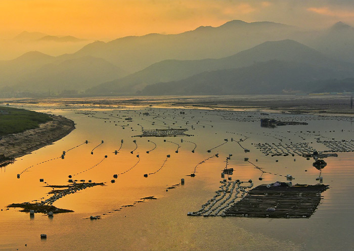 Fujian Xiapu tour