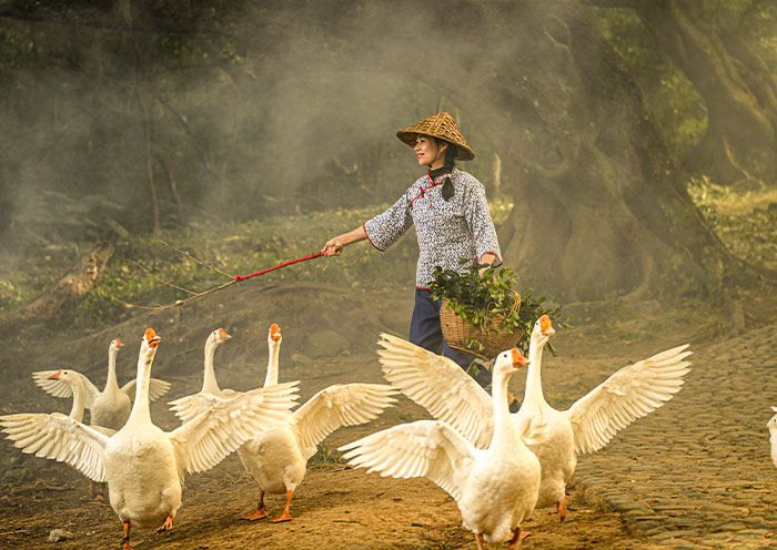 Fujian Xiapu tour