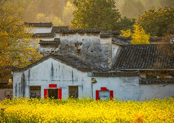 4 Day Huangshan Heritage Tour: Yellow Mountain, Hongcun & Xidi Ancient Villages