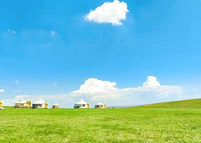 White Yurts at Green Xilamuren Grassland