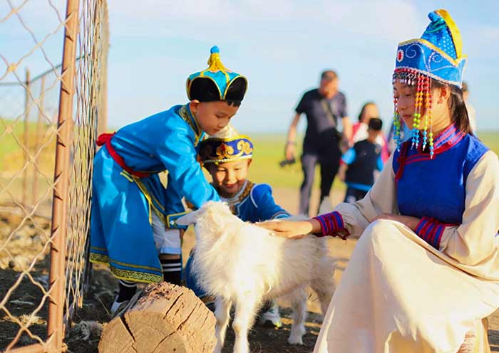 Feed animals at Xilamuren Grassland