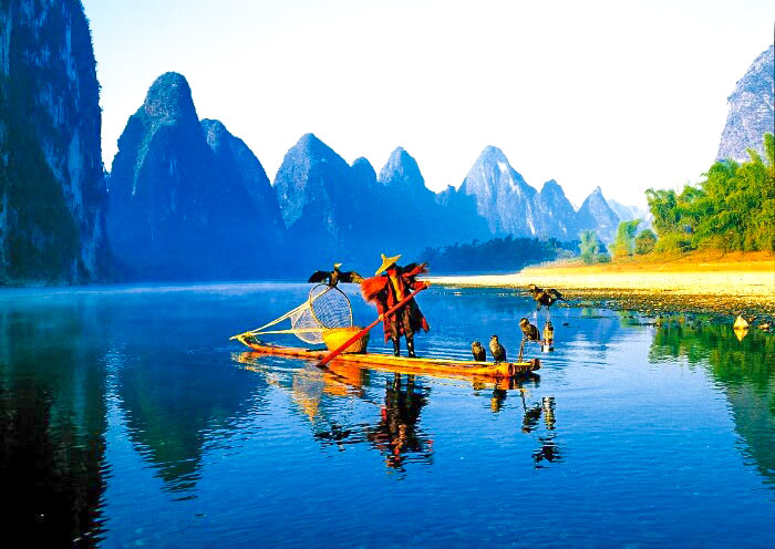 Traditional fisherman using cormorant birds to catch fish