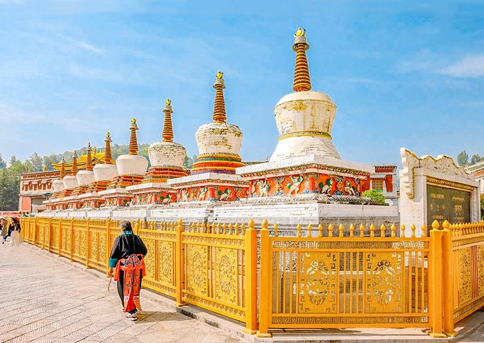 Visit Kumbum Stupa at Ta'er Monastery