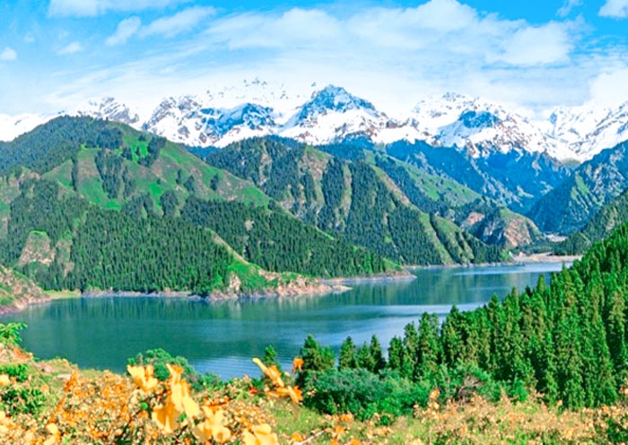 Spring in Heavenly Lake of Tianshan