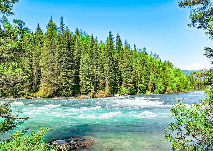 Kanas River in Kanas Lake Scenic Area, Xinjiang
