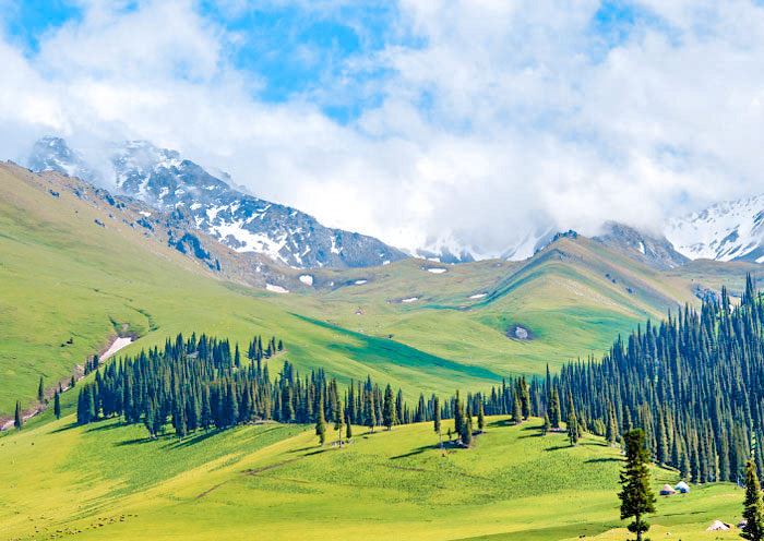 Naratay Grassland, Xinjiang