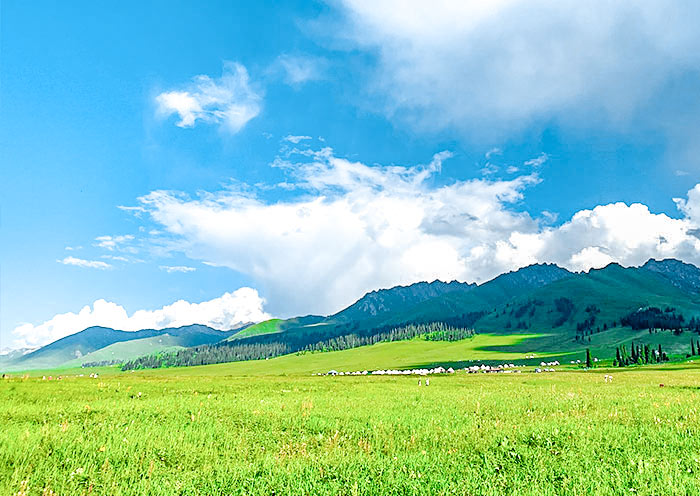 Naratay Grassland, Xinjiang Naratay Grassland, Xinjiang