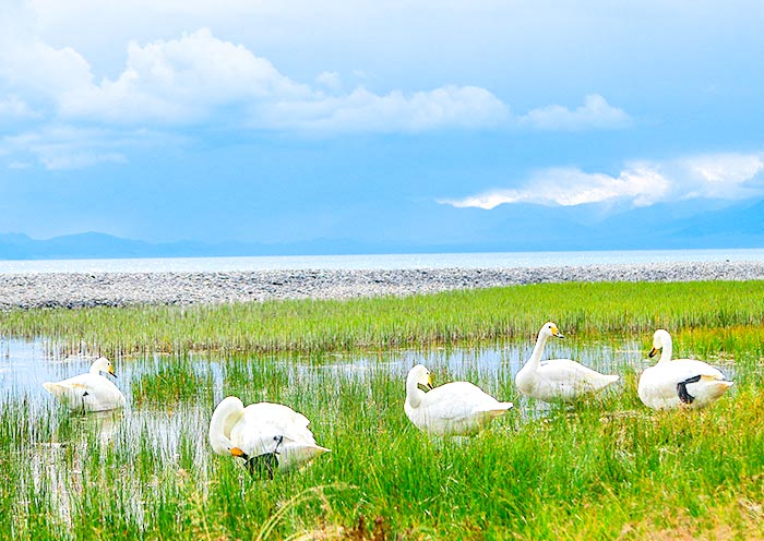 Sayram Lake, Xinjiang Sayram Lake, Xinjiang