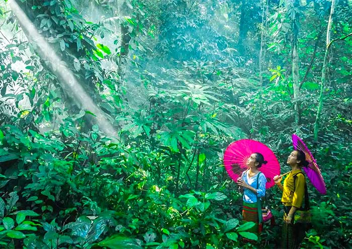 Xishuangbanna Tours 