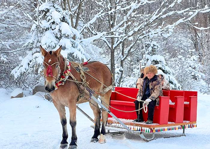 Yabuli Horse-Drawn Sleigh