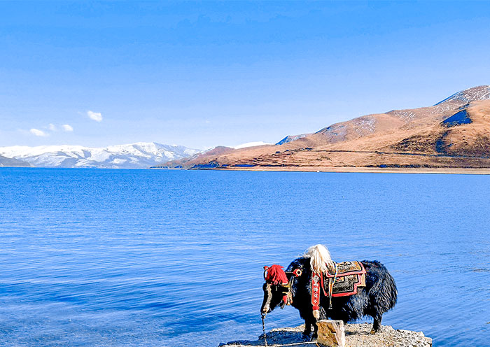 15 Days Tibet Tour to Mount Kailash Everest