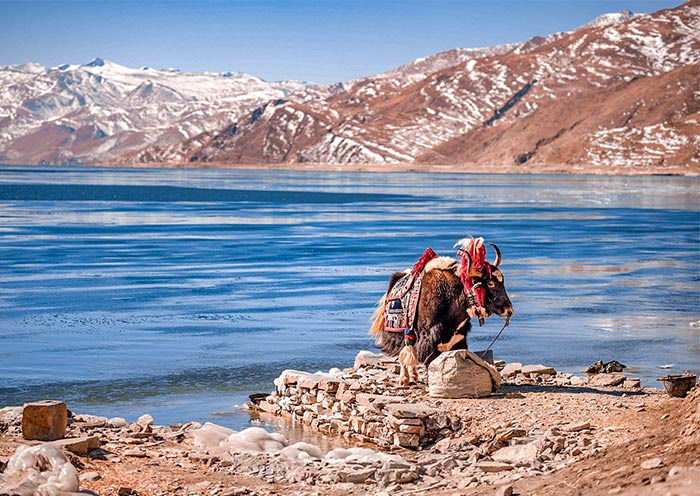 5 Days Tibet Shannan Tour