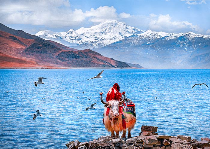 Tibet Yamdrok Lake