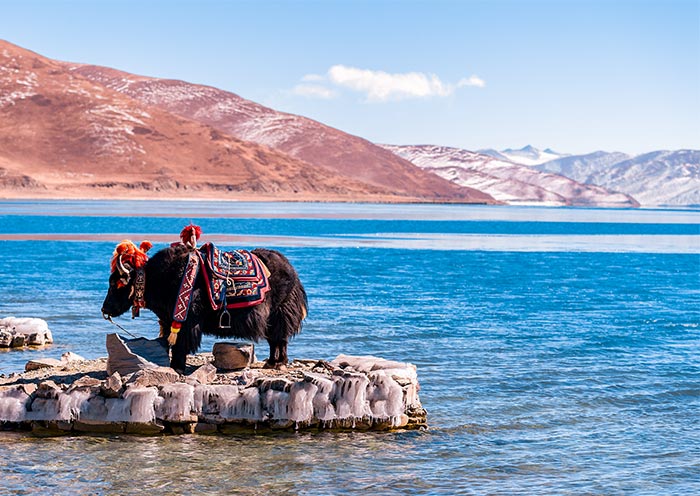 Tibet Yamdrok Lake