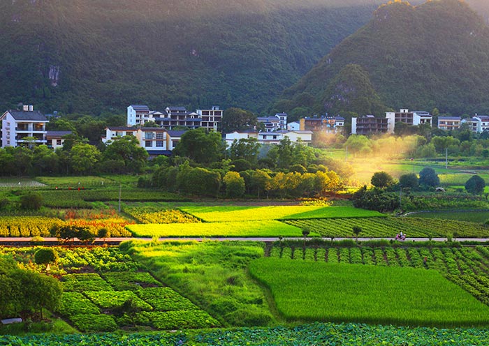 Idyllic Yangshuo Countryside