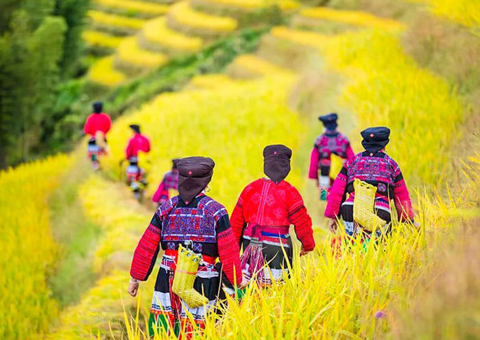 5 Days Guilin Yangshuo Longji Tour with Hiking in Longji Rice Terraces