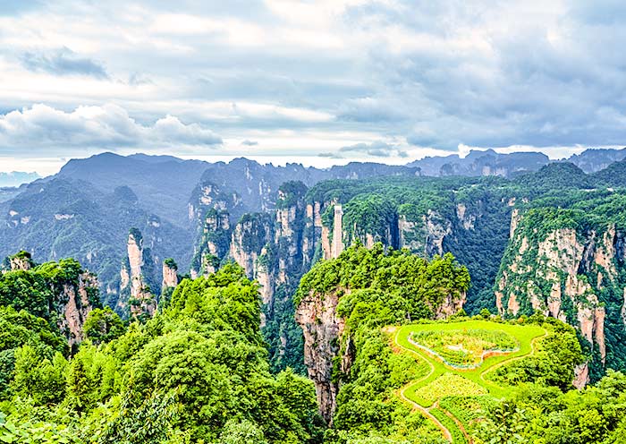 Sky Farmland in Yuanjiajie, Zhangjiajie