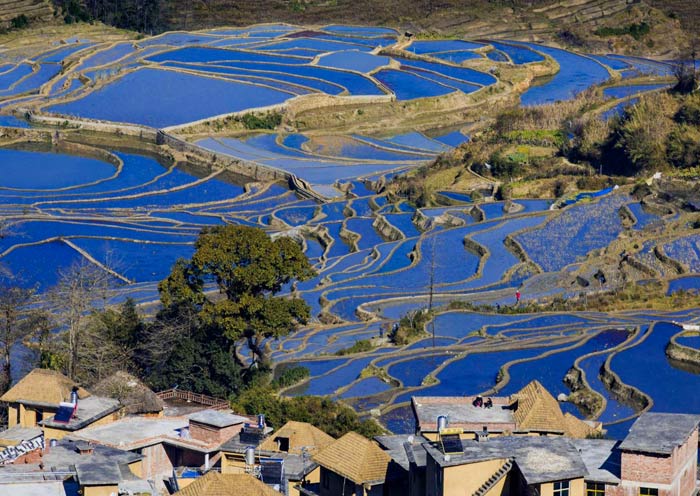 Aichun Blue Rice Terrace, Yuanyang