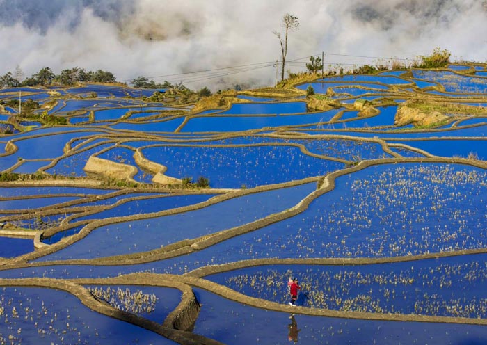 Azheke, Yuanyang Rice Terraces