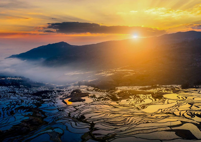 See cloud sea over the Duoyishu Rice Terrace, Yuanyang