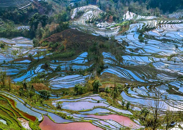 Laohuzui Rice Terraces, Yuanyang