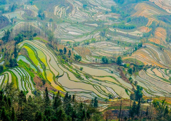 Capture the Rich Colors at Laohuzui Rice Terraces