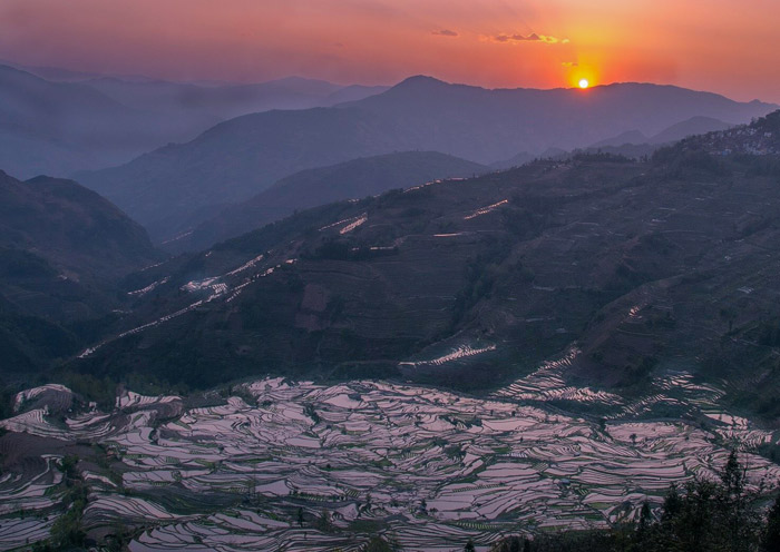 Laohuzui Rice Terraces Sunset, Yuanyang