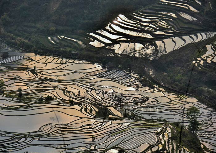 Mirror, Mirror, Which Rice Terrace is the Most Beautiful in the World