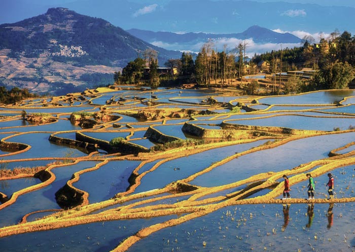 Hike in Yuanyang Rice Terraces & Meet Hani People