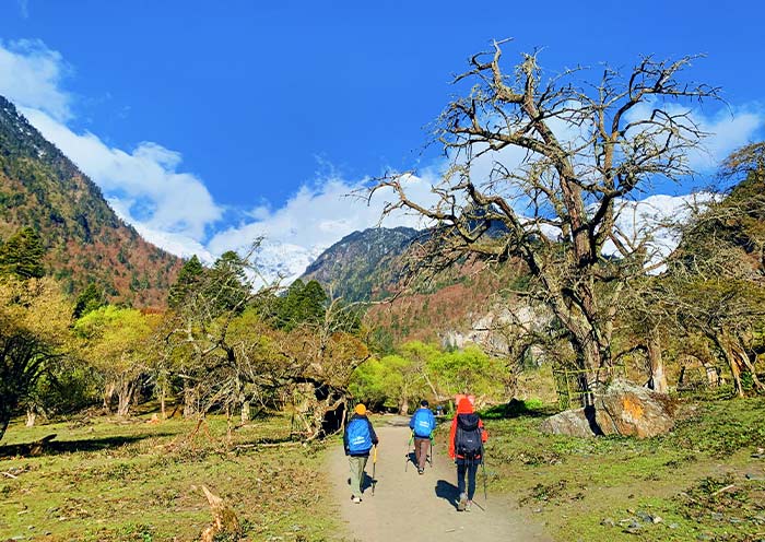 Trekking in Yubeng Village