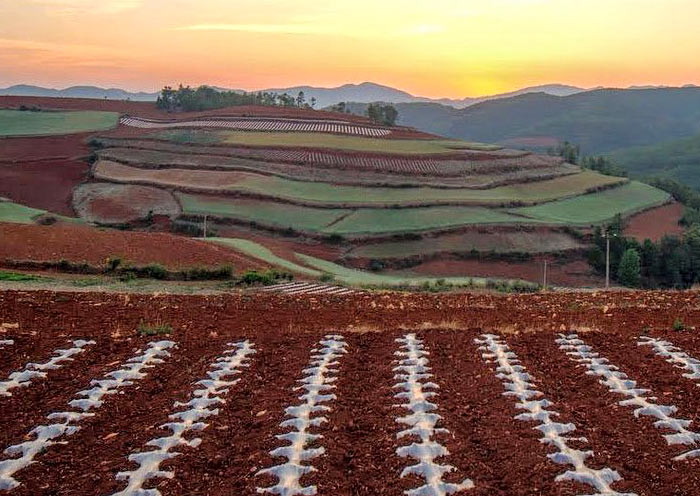 Sunset glow at Yuepu Ao, Dongchuan