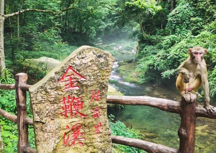 Jinbianxi Stream, Zhangjiajie